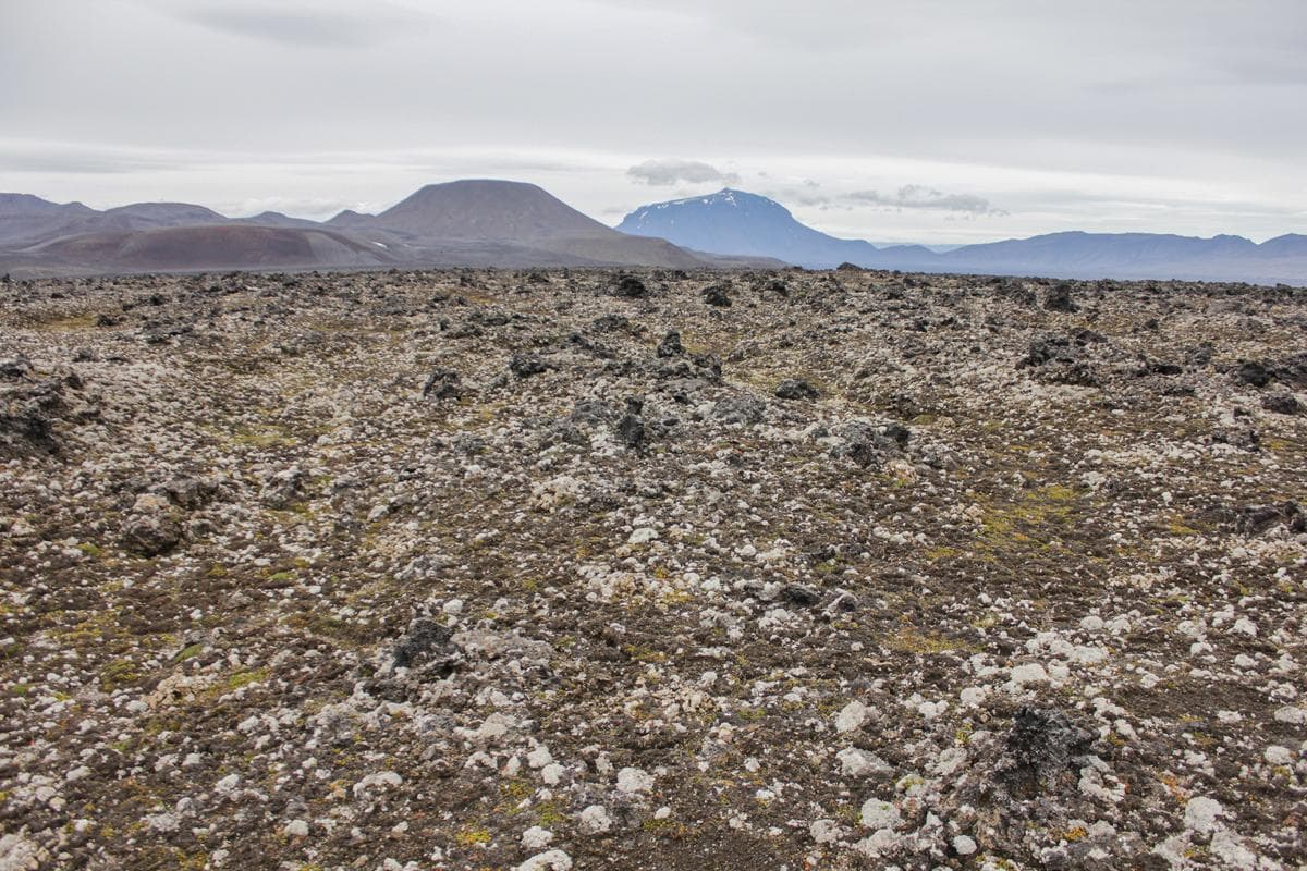 Önnur vistlendi image