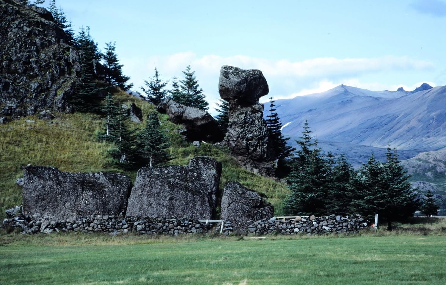 Skógrækt og ásýnd lands 1
